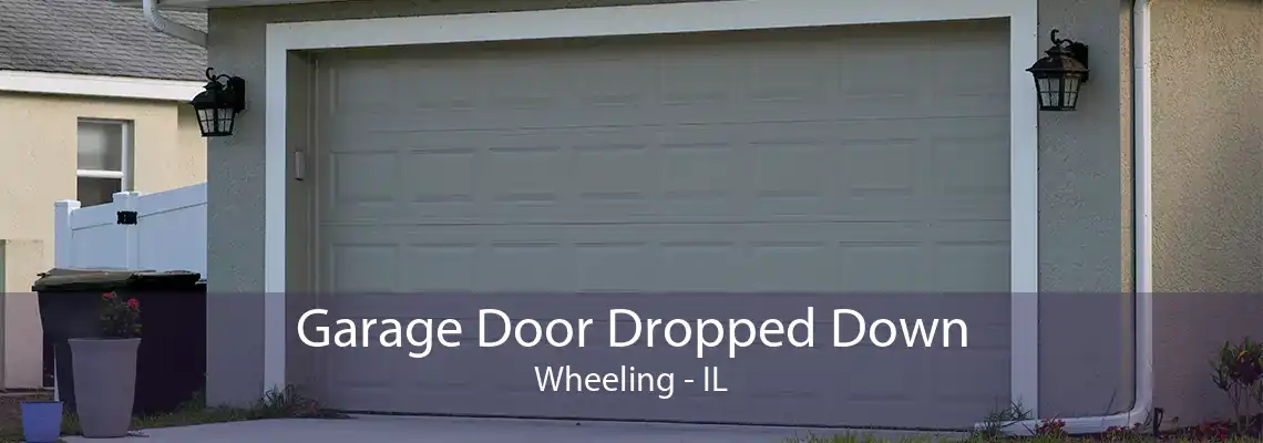 Garage Door Dropped Down Wheeling - IL