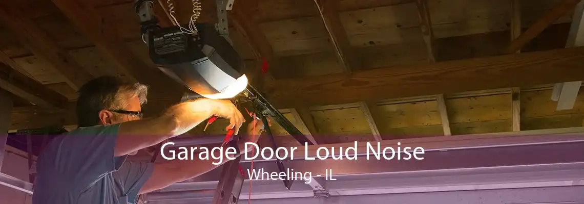 Garage Door Loud Noise Wheeling - IL