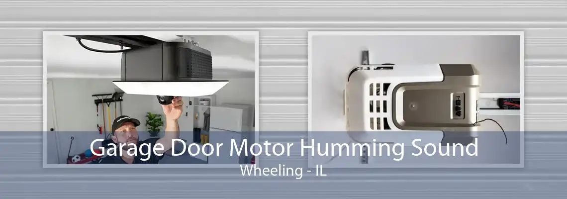 Garage Door Motor Humming Sound Wheeling - IL