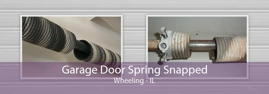 Garage Door Spring Snapped Wheeling - IL